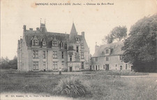 Savigne lude chateau d'occasion  Expédié en Belgium