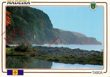 Cartão postal fotográfico; Madeira, Paisagem Na Estrada Tabua/Ponta Do Sol comprar usado  Enviando para Brazil
