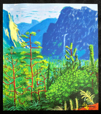 David hockney litografia usato  Roma