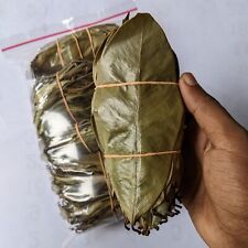 Foglie soursop biologiche usato  Spedire a Italy