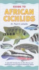 Guide african cichlids for sale  UK