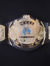 Cinto de título Mattel Kids WWE World Heavyweight Winged Eagle Championship WWF Child, usado comprar usado Cinto de título Mattel Kids WWE World Heavyweight Winged Eagle Championship WWF Child, usado comprar usado  Enviando para Brazil