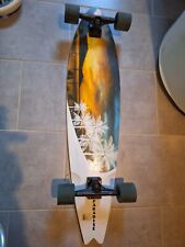 Longboard paradise 100 gebraucht kaufen  Bad Griesbach i.Rottal