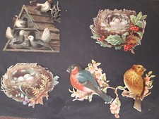 Birds and nest d'occasion  Expédié en Belgium