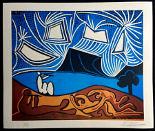 Pablo.picasso litografia coa usato  Roma