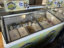 icecream display freezer for sale  EXETER