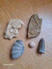 Nice lot british for sale  NOTTINGHAM