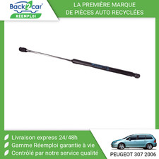 Verin gauche hayon d'occasion  Saint-Quentin