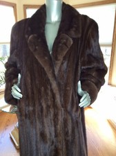 Classic sable brown for sale  Factoryville