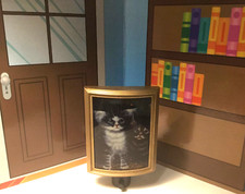 Cats kittens home for sale  Fayetteville