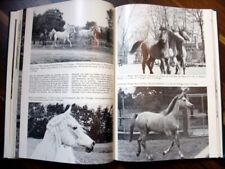 1978 vollblut araber gebraucht kaufen  Duisburg