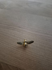 Small bee fly for sale  HATFIELD