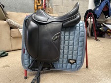 Amerigo pasubio dressage for sale Amerigo pasubio dressage for sale  TRURO