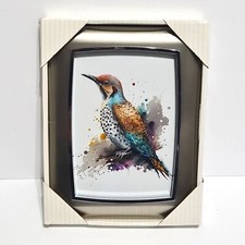 Northern flicker watercolor for sale  Cleveland