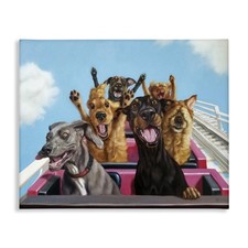Dogs riding roller for sale  Casper