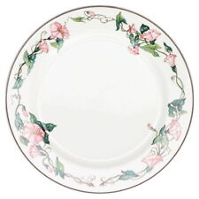 Speiseteller villeroy boch gebraucht kaufen  Kappeln