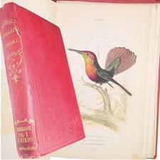 1843 jardine hummingbirds d'occasion  Expédié en Belgium