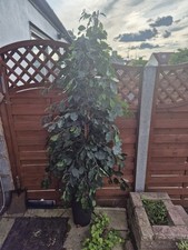Artificial plants pots for sale  BARKING