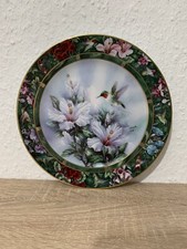 Wandtellel sammelteller vogel gebraucht kaufen Wandtellel sammelteller vogel gebraucht kaufen  Solingen