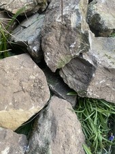 Large garden pond for sale  CROYDON