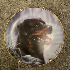 Danbury mint rottweiler for sale  CAMBRIDGE