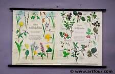 Vintage mural cottagecore gebraucht kaufen  Berghülen