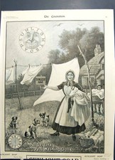 Antique old print for sale Antique old print for sale  UK