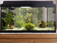 Fish tank accessories for sale  LONDON