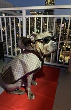 Gucci 695719 supreme for sale  Chicago