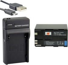 970g ion batteria usato  Milano