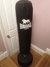 Everlast punch bag for sale  LONDON