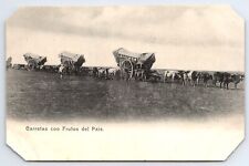 Chile ~ Carretas Avec Frutos Del Pais-Carts Fruits De Pays ~1900s Photo Carte comprar usado  Enviando para Brazil