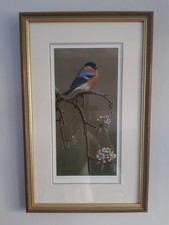 Robert fuller bullfinch for sale  YORK