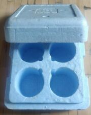 Contenitore isotermico secchie usato  Torino