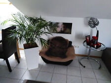 Hundesofa hundecouch stoff gebraucht kaufen  Saarbrücken