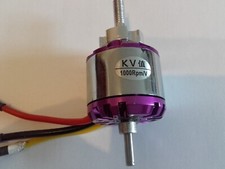 Bürstenloser motor 1000 gebraucht kaufen  Wernigerode