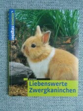 Liebenswerte zwergkaninchen pe gebraucht kaufen  Leipzig