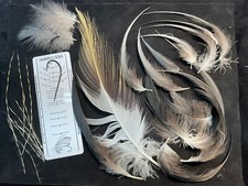 African crowned crane for sale  Oakville