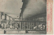 Hannover-Gerdau Samtgemeinde Suderburg von E. Voigts ngl 201.706 comprar usado Hannover-Gerdau Samtgemeinde Suderburg von E. Voigts ngl 201.706 comprar usado  Enviando para Brazil