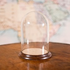 Small antique display for sale  EXETER