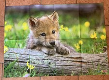 wolf poster gebraucht kaufen  Husum