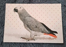 Vogel postkarte 2014 gebraucht kaufen  Hamburg
