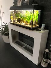 Bio ethanol kamin gebraucht kaufen  Freisbach