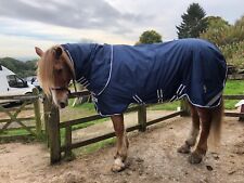Blue heavyweight horse for sale  SHEFFIELD