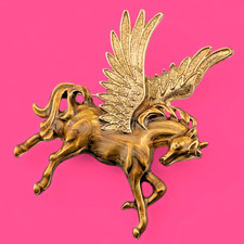 Glitter winged golden for sale  Farmington