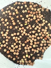 Lbs premium deer for sale  Strathcona