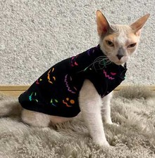 Halloween cats jumper. for sale  DERBY