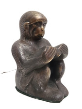 darwin monkey for sale darwin monkey for sale North Port