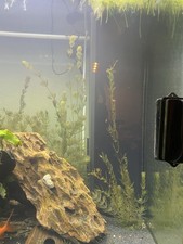 Juwel aquarium 87060 gebraucht kaufen  Frankfurt am Main