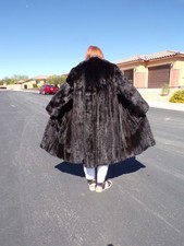 Real female ranch for sale  Las Vegas